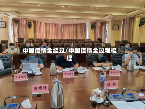 中国疫情全经过/中国疫情全过程梳理