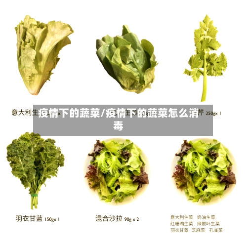 疫情下的蔬菜/疫情下的蔬菜怎么消毒-第2张图片