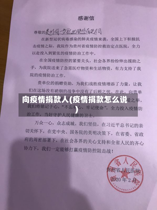 向疫情捐款人(疫情捐款怎么说)-第2张图片
