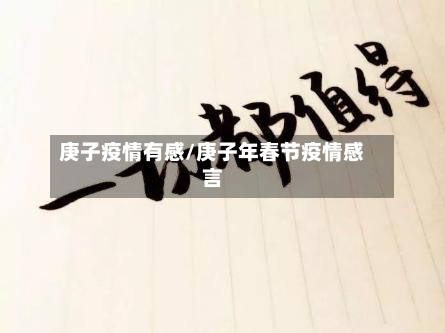 庚子疫情有感/庚子年春节疫情感言