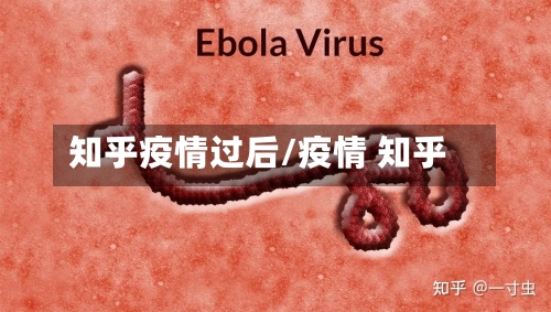 知乎疫情过后/疫情 知乎-第2张图片