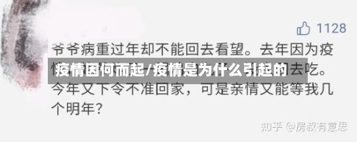 疫情因何而起/疫情是为什么引起的