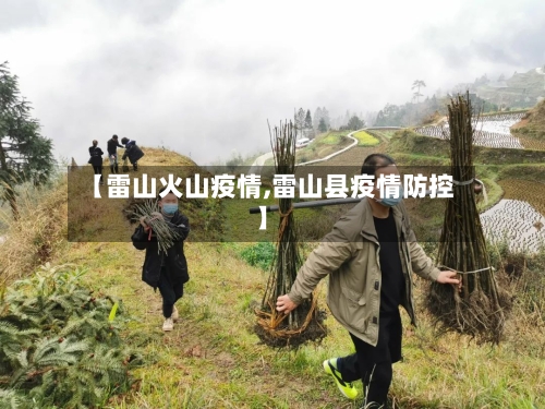 【雷山火山疫情,雷山县疫情防控】
