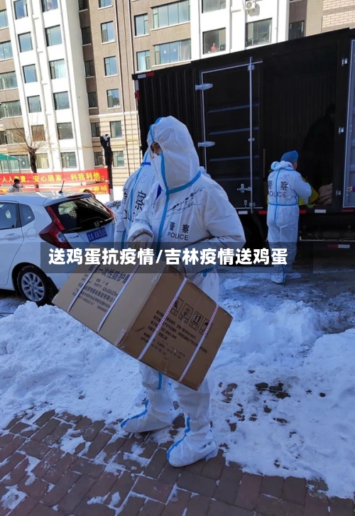送鸡蛋抗疫情/吉林疫情送鸡蛋