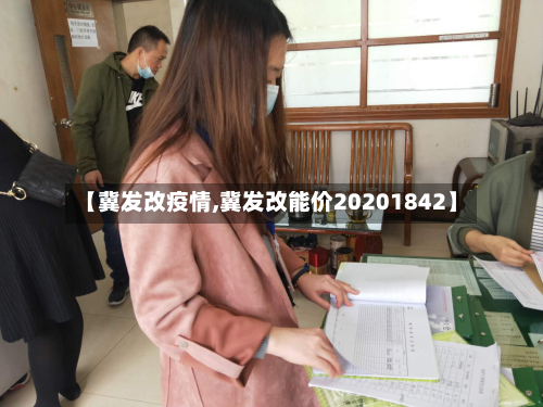 【冀发改疫情,冀发改能价20201842】
