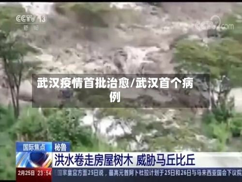 武汉疫情首批治愈/武汉首个病例-第2张图片