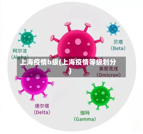 上海疫情b级(上海疫情等级划分)