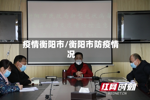 疫情衡阳市/衡阳市防疫情况