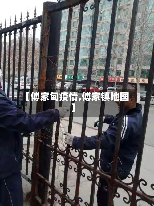 【傅家甸疫情,傅家镇地图】