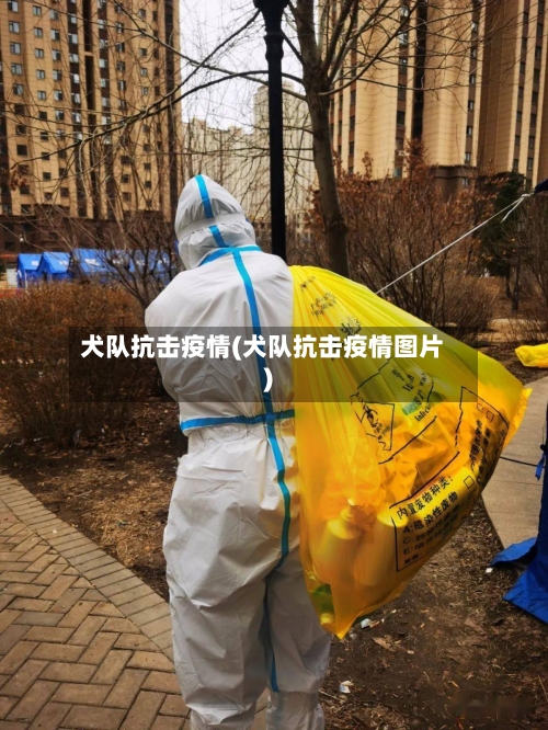 犬队抗击疫情(犬队抗击疫情图片)-第2张图片