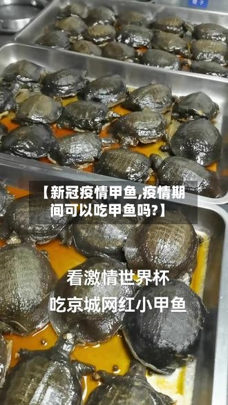 【新冠疫情甲鱼,疫情期间可以吃甲鱼吗?】