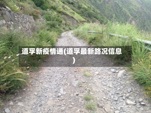 道孚新疫情通(道孚最新路况信息)