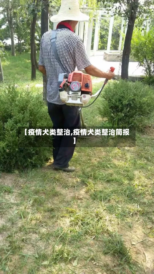 【疫情犬类整治,疫情犬类整治简报】-第2张图片