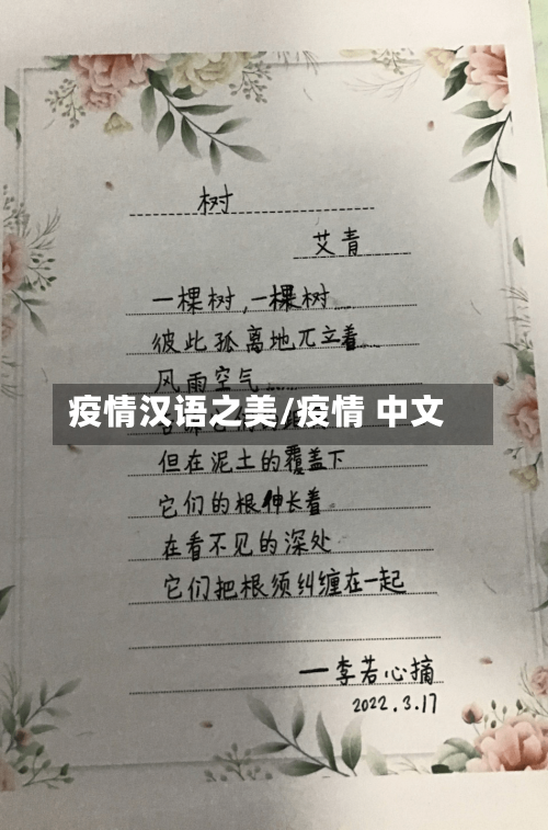 疫情汉语之美/疫情 中文