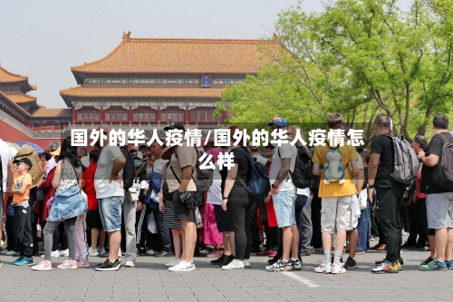 国外的华人疫情/国外的华人疫情怎么样