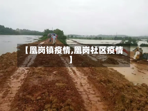 【凰岗镇疫情,凰岗社区疫情】
