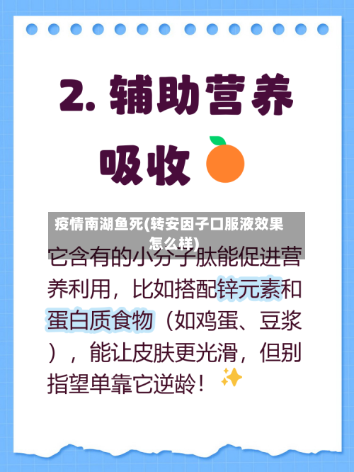 疫情南湖鱼死(转安因子口服液效果怎么样)-第2张图片