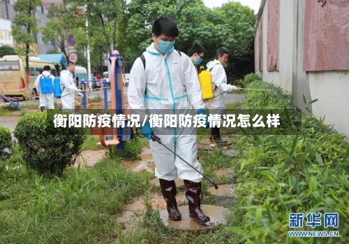 衡阳防疫情况/衡阳防疫情况怎么样-第3张图片