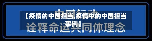 【疫情的中国担当,疫情中的中国担当事例】