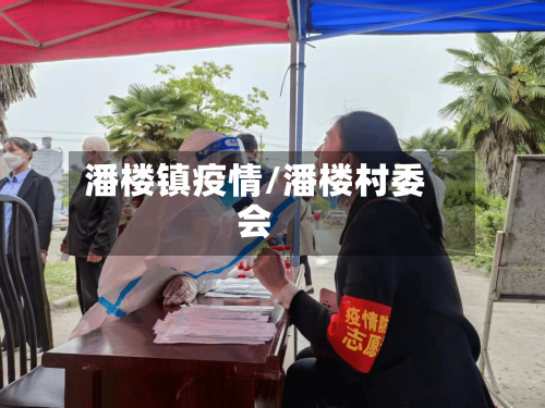 潘楼镇疫情/潘楼村委会