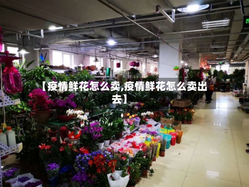 【疫情鲜花怎么卖,疫情鲜花怎么卖出去】