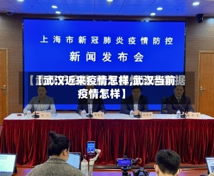 【武汉近来疫情怎样,武汉当前疫情怎样】-第3张图片