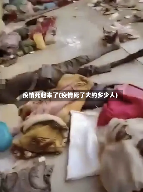 疫情死起来了(疫情死了大约多少人)-第3张图片