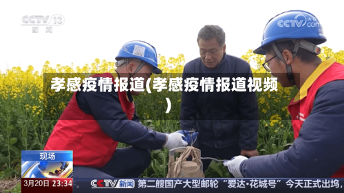 孝感疫情报道(孝感疫情报道视频)