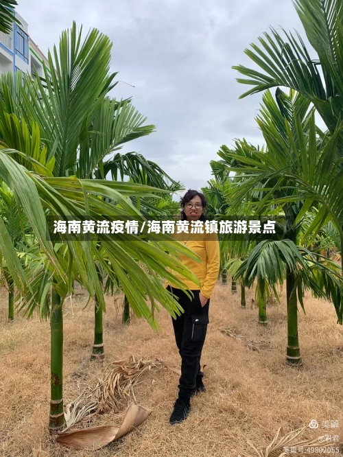 海南黄流疫情/海南黄流镇旅游景点