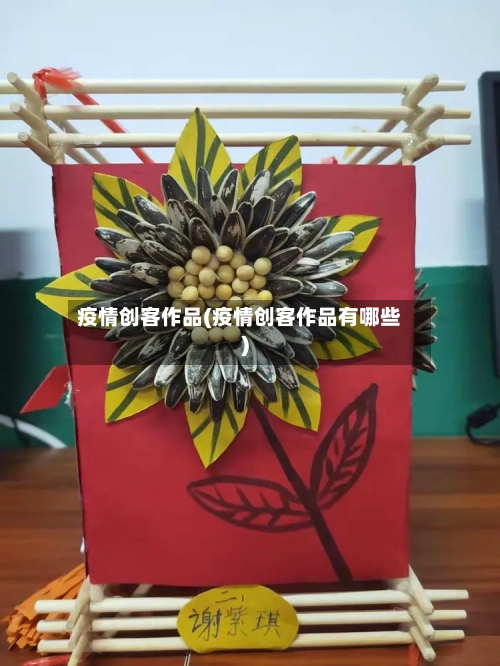 疫情创客作品(疫情创客作品有哪些)