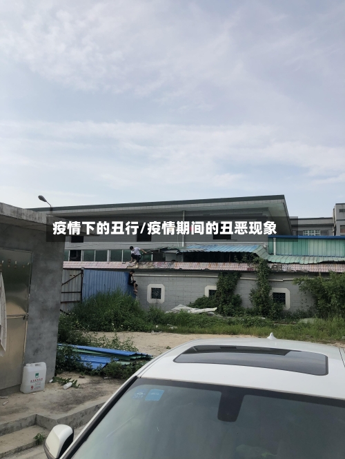 疫情下的丑行/疫情期间的丑恶现象