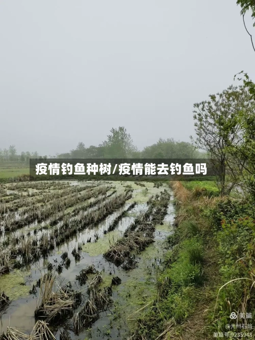 疫情钓鱼种树/疫情能去钓鱼吗-第2张图片