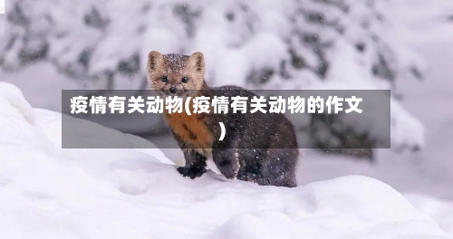 疫情有关动物(疫情有关动物的作文)-第3张图片