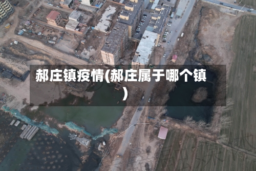 郝庄镇疫情(郝庄属于哪个镇)-第2张图片