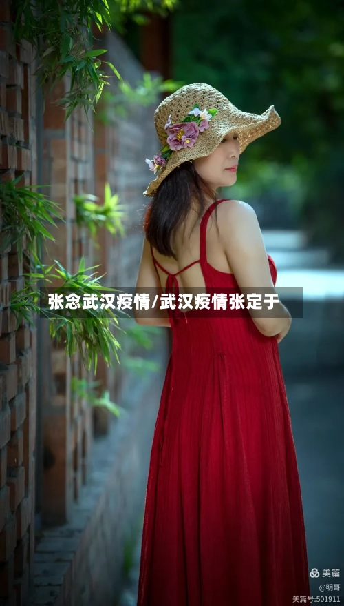 张念武汉疫情/武汉疫情张定于-第3张图片