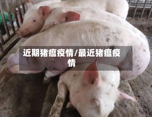 近期猪瘟疫情/最近猪瘟疫情