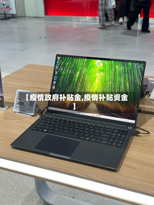 【疫情政府补贴金,疫情补贴资金】-第2张图片
