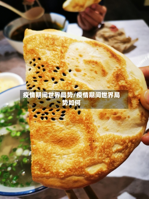 疫情期间世界局势/疫情期间世界局势如何-第3张图片