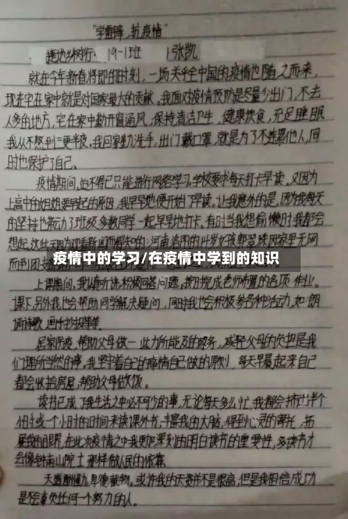 疫情中的学习/在疫情中学到的知识