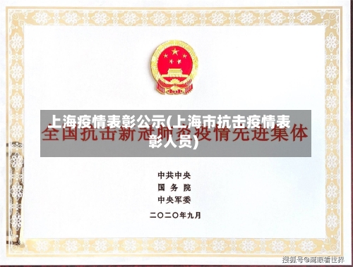 上海疫情表彰公示(上海市抗击疫情表彰人员)
