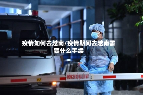 疫情如何去越南/疫情期间去越南需要什么手续-第2张图片