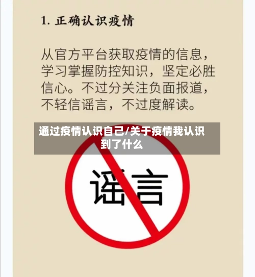 通过疫情认识自己/关于疫情我认识到了什么