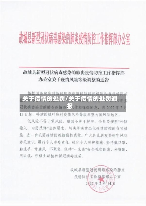 关于疫情的处罚/关于疫情的处罚通报