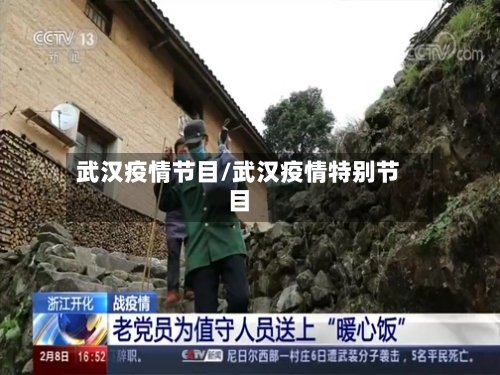 武汉疫情节目/武汉疫情特别节目