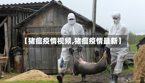 【猪瘟疫情视频,猪瘟疫情最新】-第2张图片