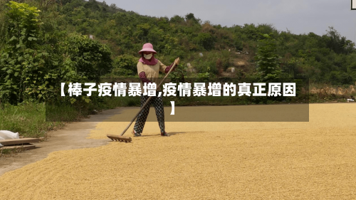 【棒子疫情暴增,疫情暴增的真正原因】