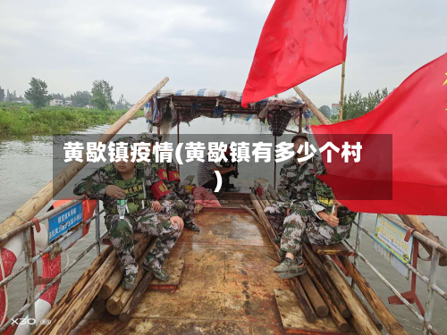 黄歇镇疫情(黄歇镇有多少个村)