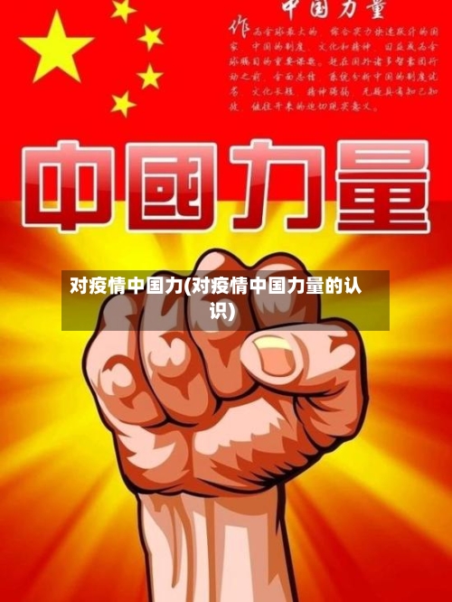 对疫情中国力(对疫情中国力量的认识)