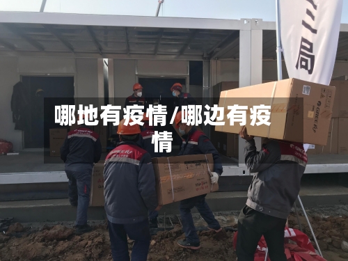 哪地有疫情/哪边有疫情