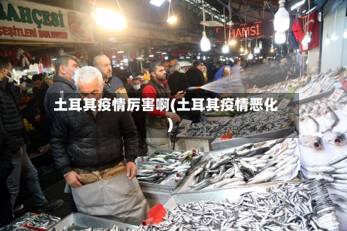 土耳其疫情厉害啊(土耳其疫情恶化)-第3张图片
